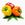 Vegetable