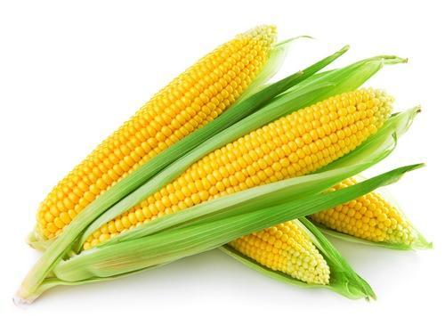 Bhutta 500gm