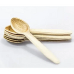 Areca Disposable Green Solutions  Spoon   5 In