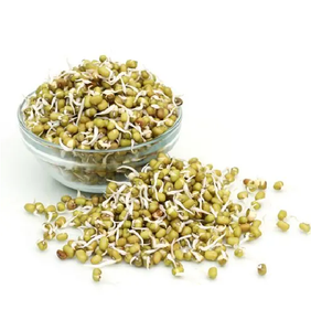 Beans Sprout 200gm