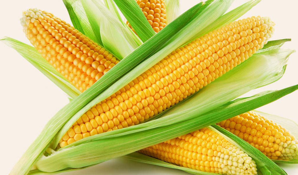 Sweet Corn Dana 200Gm