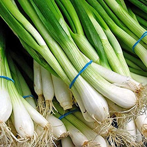 Green Onion 250gm