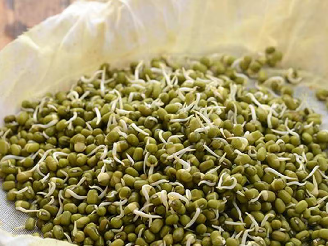 Moong Sprout 200gm