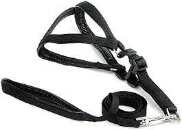 Kreak N Krips Dog Belt Extra Large