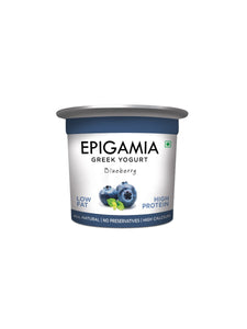 HP Epigamia Greek Yogurt Blueberry 90gm