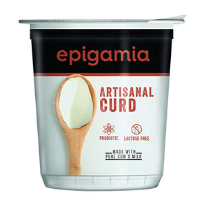 Epigamia Artisanal Curd 400g