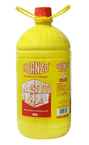 Cleanzo Go Clean 5ltr