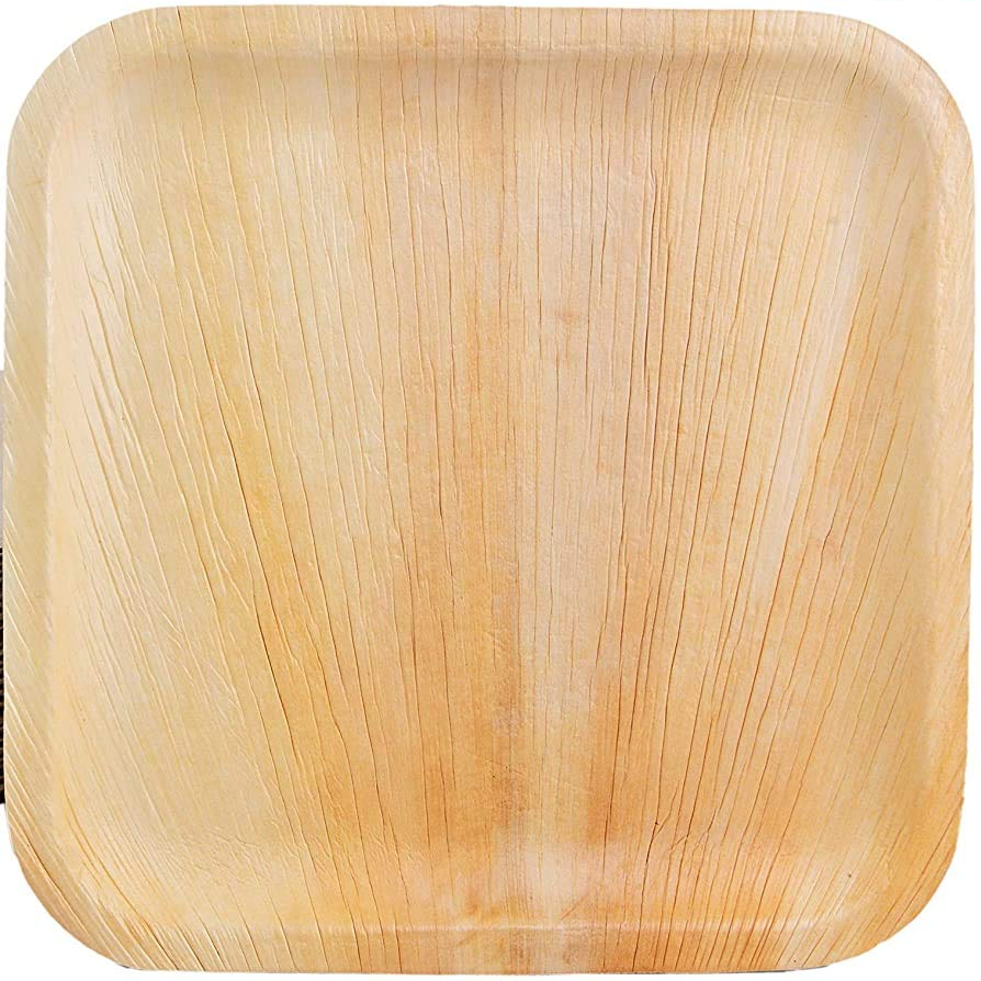 Areca Disposable Square Plate 8` X8`