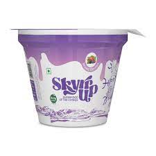 Skyr Up Fermented Milk Mixed Berries 100 gm