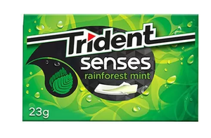 Trident Senses Sugar Free Rainforst mint 23 gm