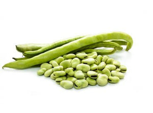 Fava Beans (Bakla)