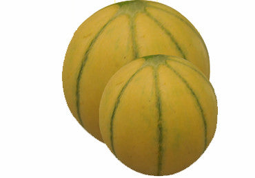 Melon Madhu 1.5 Kg