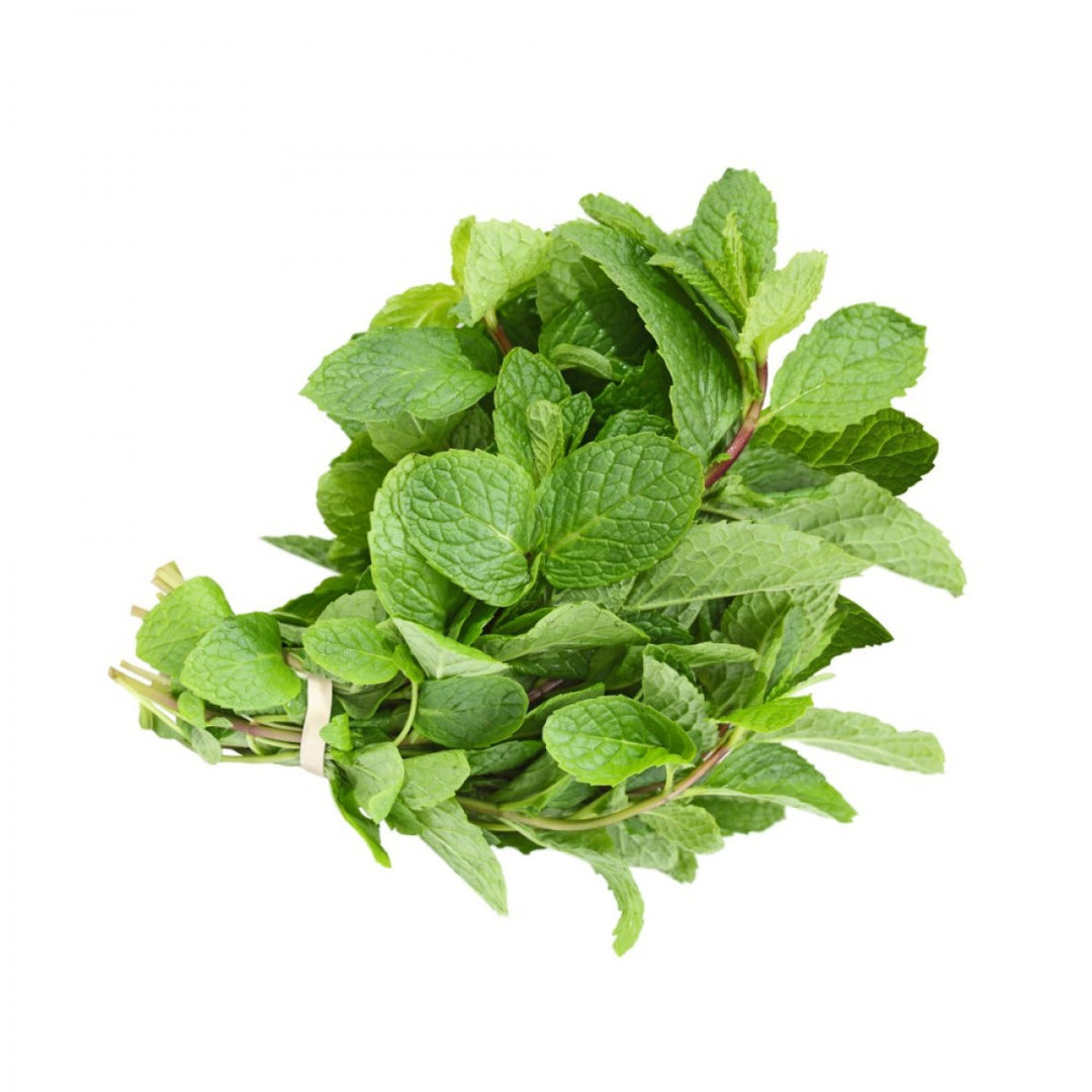 Mint 1bunch ( Approx 25-30gm)