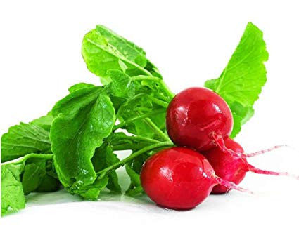 Radish Red Round 1 Bunch ( 200Gm to 300)